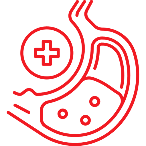 gastro