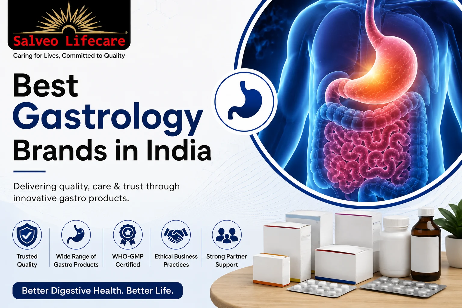 Best Gastrology Brands in India